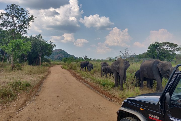 Hurulu Eco Park